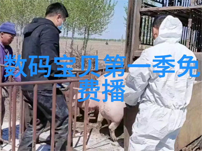 免费测评网站我来试试这款测评大师APP看看它的用处有多大