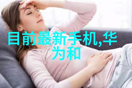 智能家居的智慧与局限如何巧妙融合技术与生活