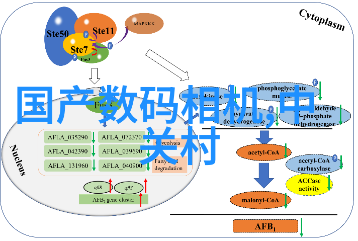 卫生间装修的步骤我来告诉你怎么搞定这个小空间的大改造