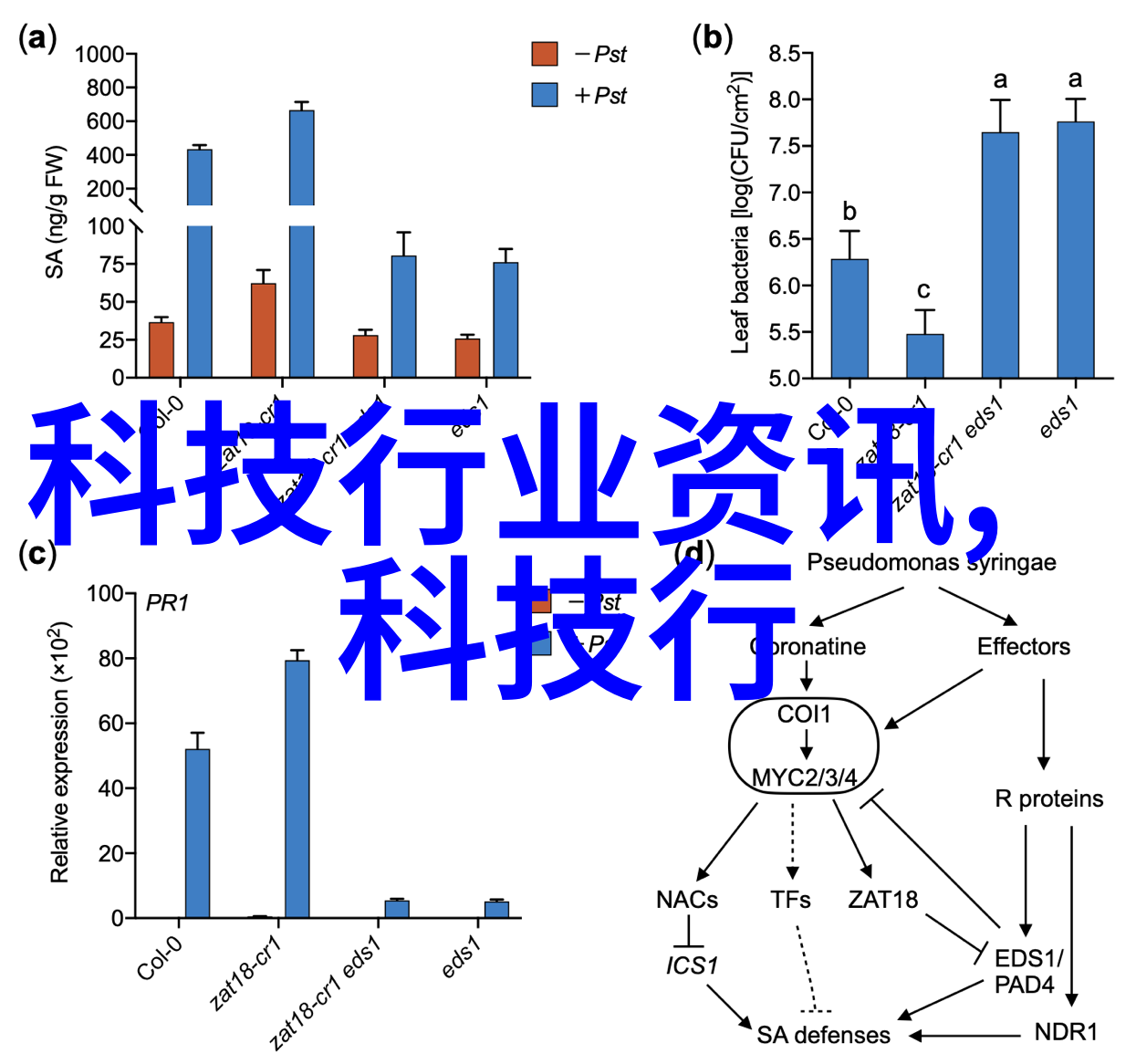 大型净水设备安装流程仿人化吸附脱附催化燃烧的守护者