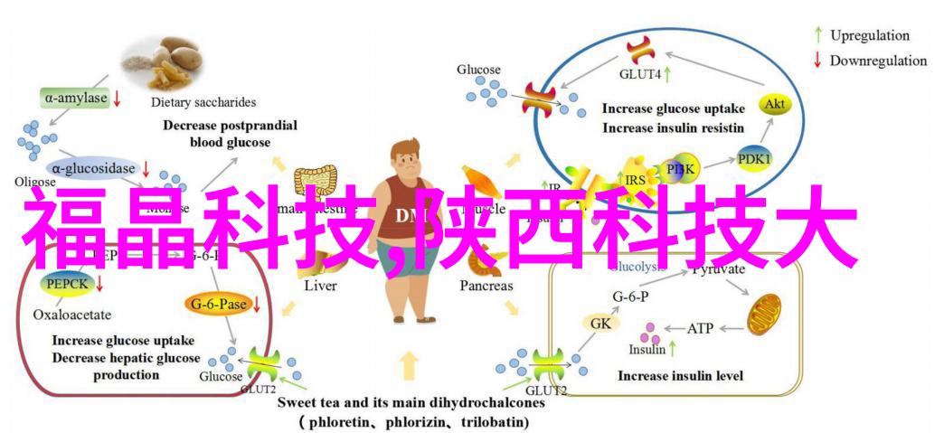 精密制造的守护者仪器仪表制造工的专业世界