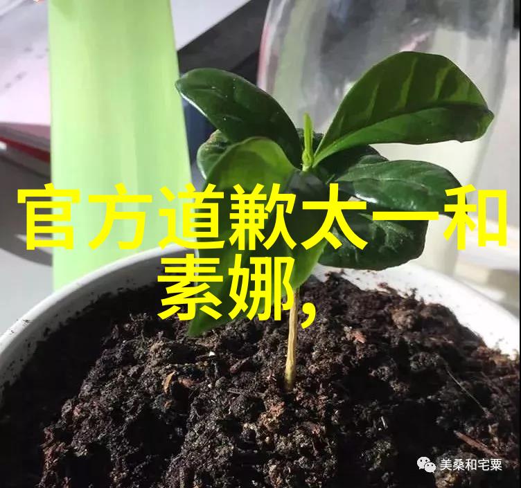 绘彩梦境新中式艺术漆客厅的温馨魅力