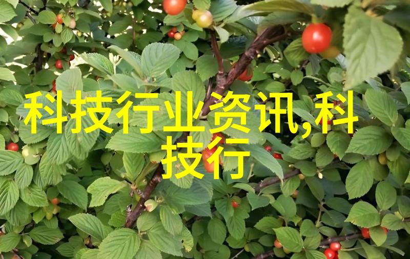 科技数码革新如何让数字化变革提升企业竞争力