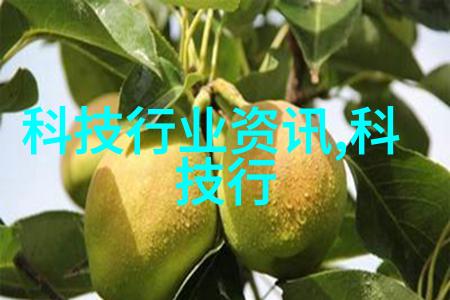 镜头里的艺术掌握手机摄影42个精髓技巧