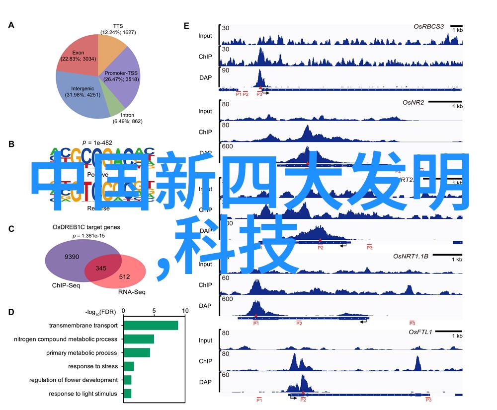 纯蒸汽发生器发动机之心的奇迹工艺