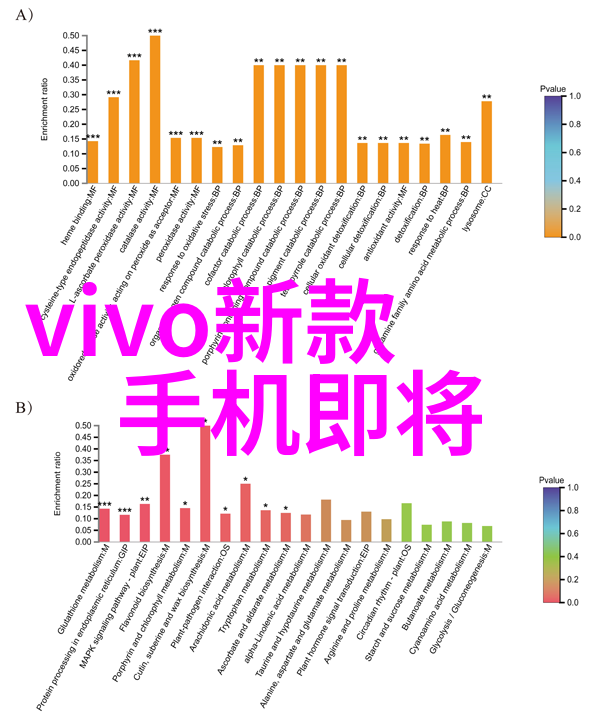 自主装修实践探究家庭居住空间设计的理论与应用