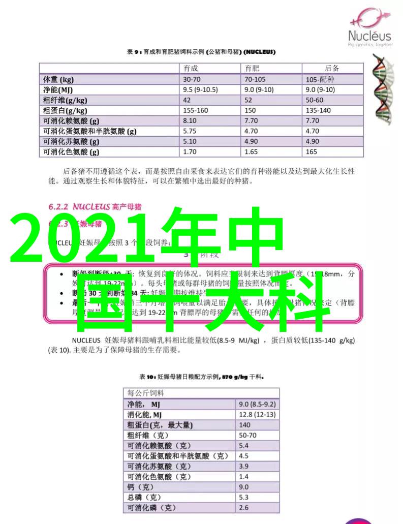 皮带输送机的抽屉式传送设备价格优惠的输送机械系统