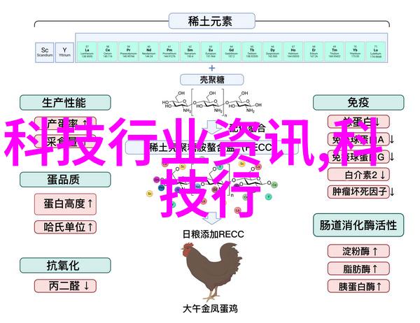 装修设计别墅中式我家的古典梦幻庭院如何让中式风格在现代别墅中绽放