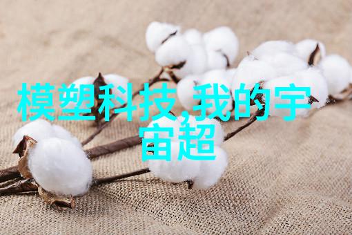 焦点不在焦点上探索新闻摄影中的平衡感和对比力