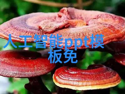 解析Aspen软件中的固定床反应器模拟了解不同类型的固定床反应器及其应用