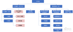 光芯片深度报道下一代芯片革命性技术国产替代