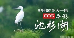 水天一色鸟相依 EOS寻影池杉湖